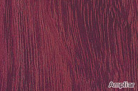 Pau roxo - Roxinho